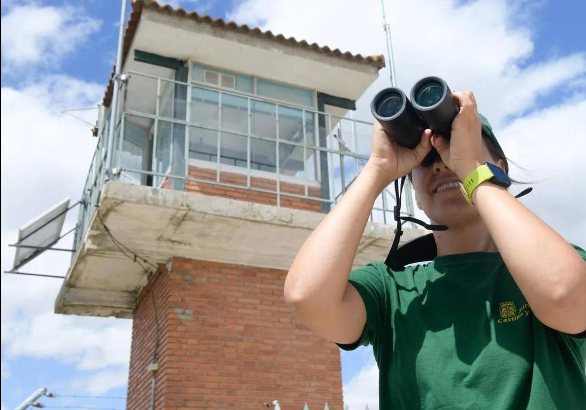 CSIF reclama a la Junta que no reemplace vigilantes del operativo de incendios forestales por cámaras de videovigilancia