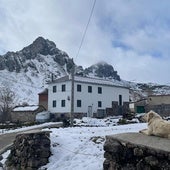 Cadenas, restricciones y máxima precaución en varias carreteras de León por la nieve