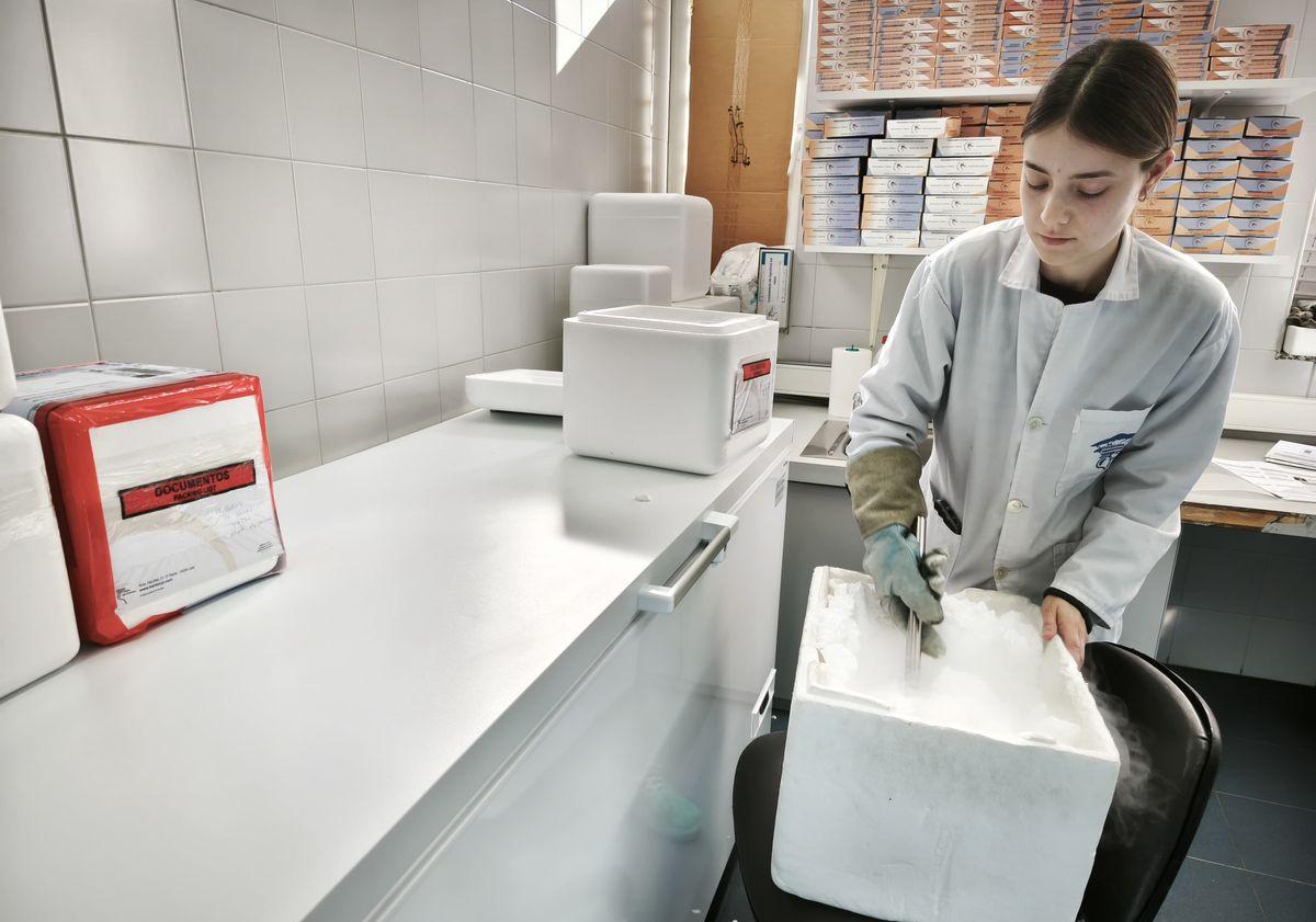 Imagen principal - Sonsoles recubriendo los paquetes de las donaciones, Cristina y Leire en la Sala Blanca y Elena en uno de los laboratorios.