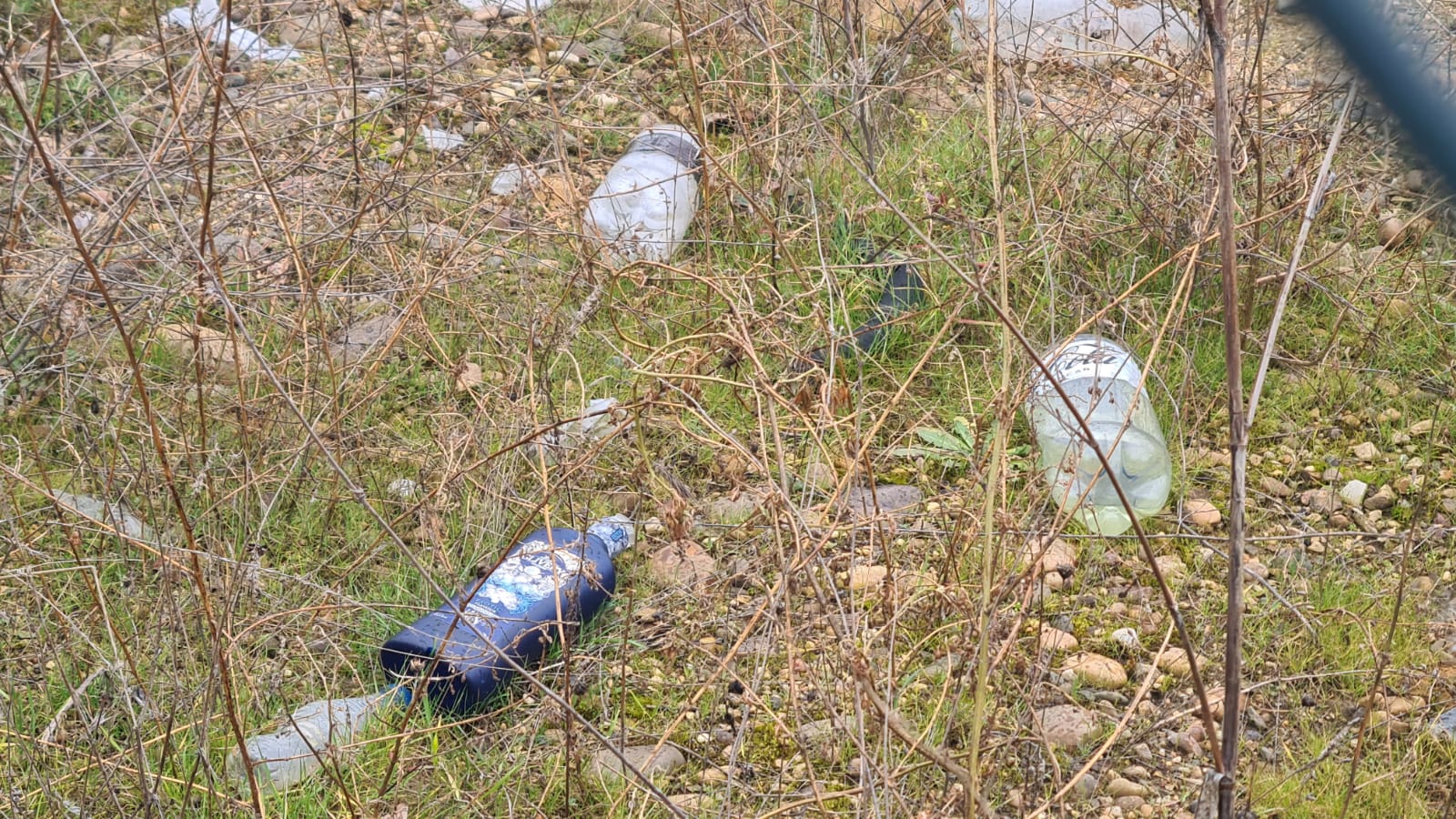 Basura acumulada junto a la estación de trenes