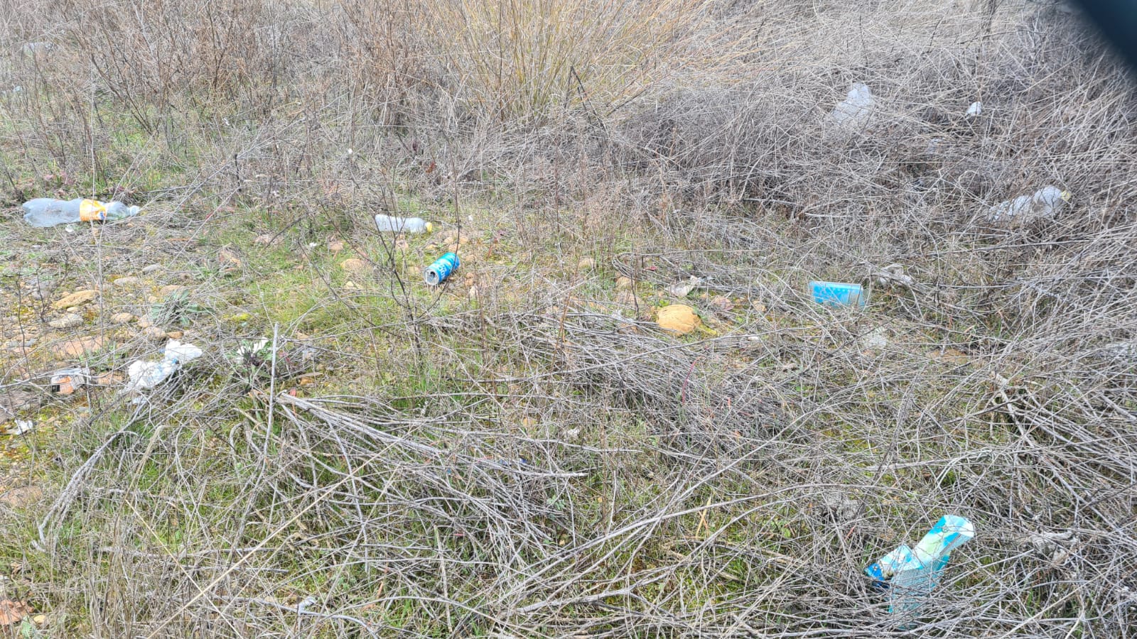 Basura acumulada junto a la estación de trenes