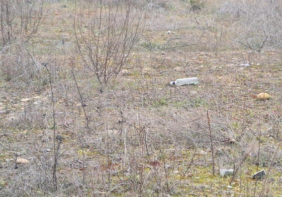 Basura acumulada junto a la estación de trenes