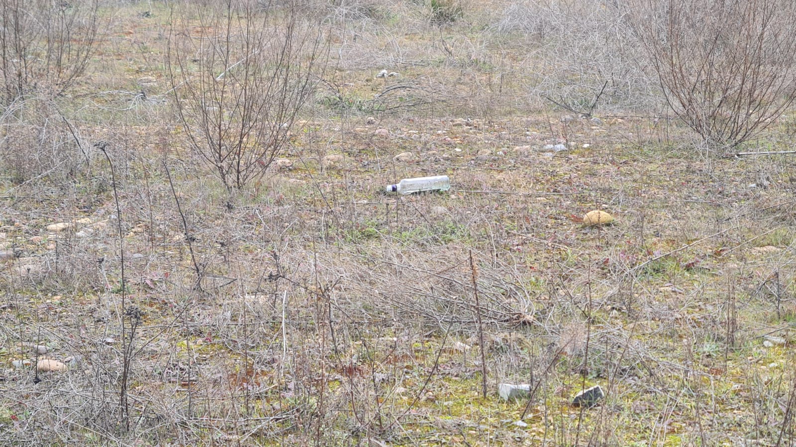 Basura acumulada junto a la estación de trenes