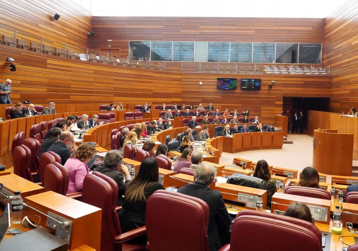 Pleno de las Cortes de Castilla y León.