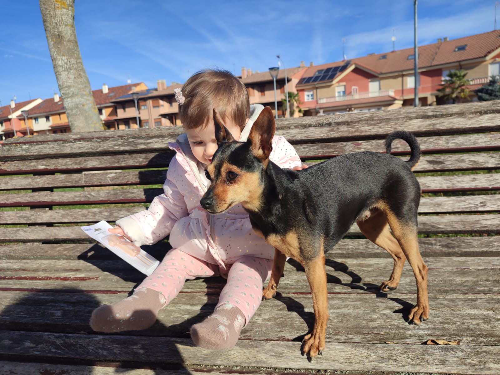 Aria, de 6 años, está de celebración en este día mundial del amor por las mascotas en el que compartirá grandes momentos con su hermanita humana en Villarrodrigo de las Regueras.