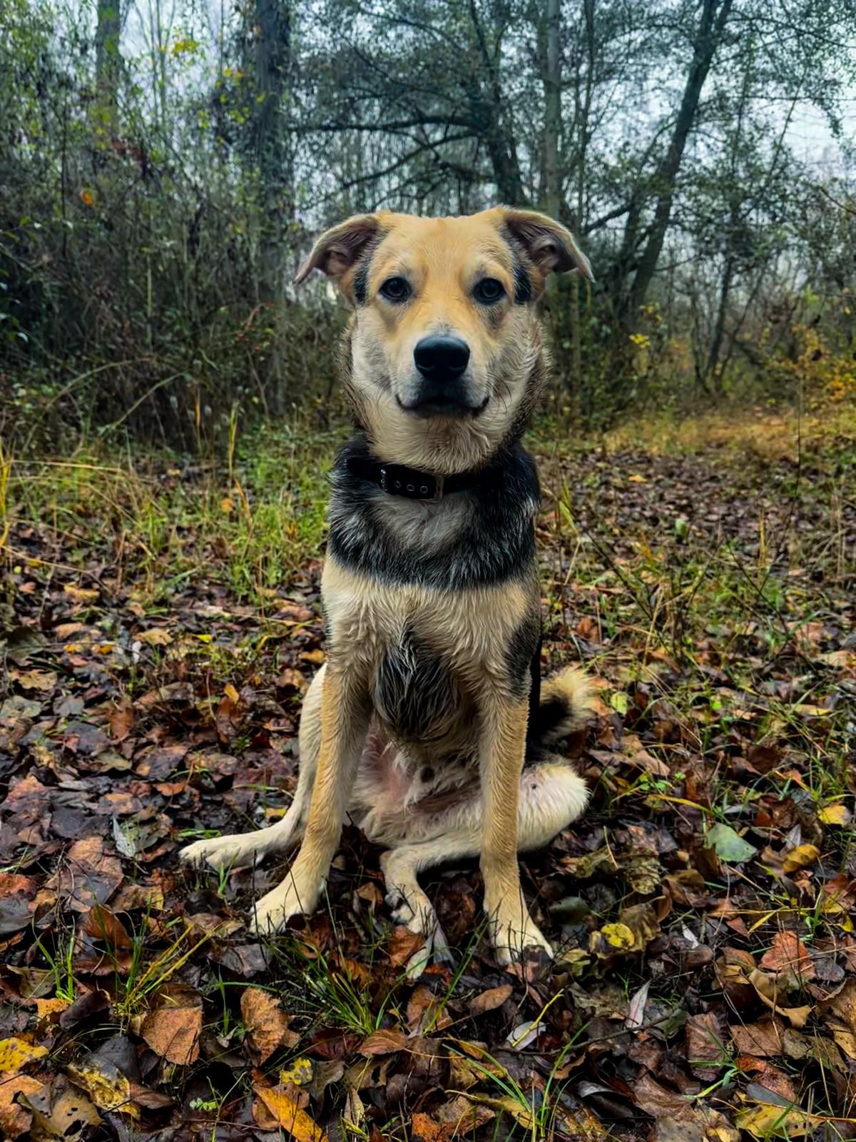 Duki, que tiene tan solo 10 meses, envía esta preciosa imagen y nos comparte que nos lee desde León.