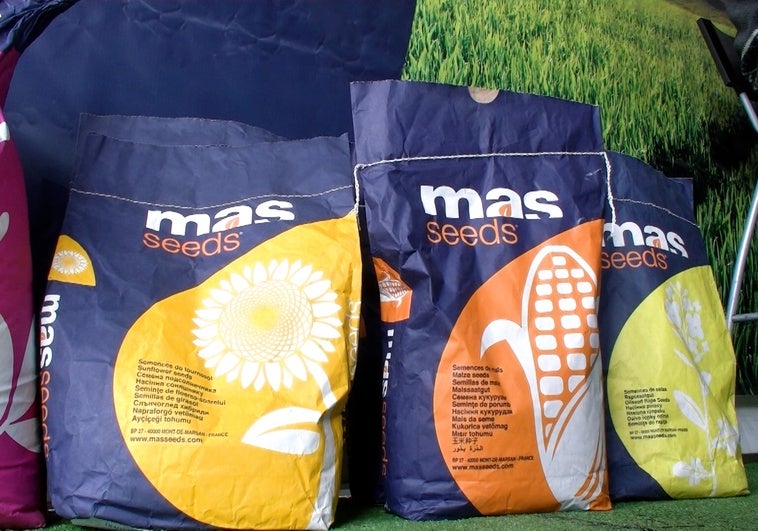 La compañía ha dado a conocer al público la variedad de maíz MAS 448G