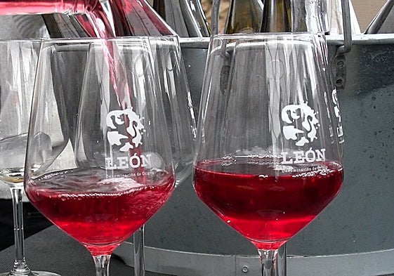 La calidad de la uva ha vuelto a ser de una enorme calidad