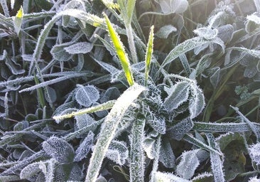 Un punto de León registra la mínima más baja de toda España