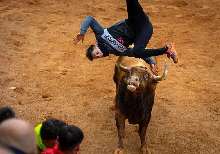 Momento de la cogida que sufrió un joven cortador de Cuéllar (Segovia).
