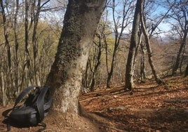 Turismo rural.