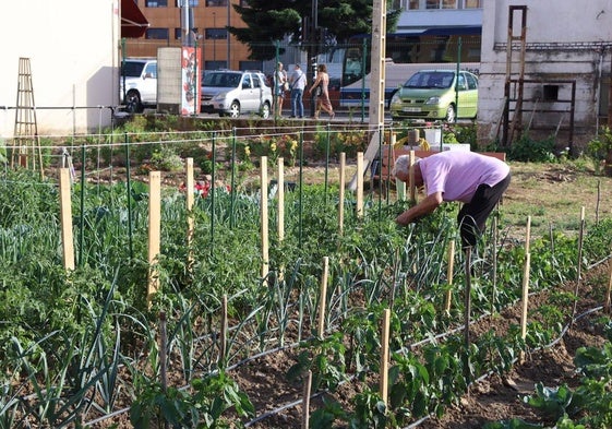Trabajos durante este verano.