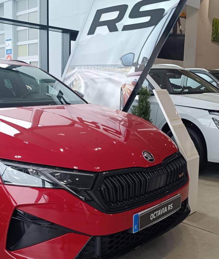 Imagen secundaria 2 - Vehículos de Telenauto Škoda