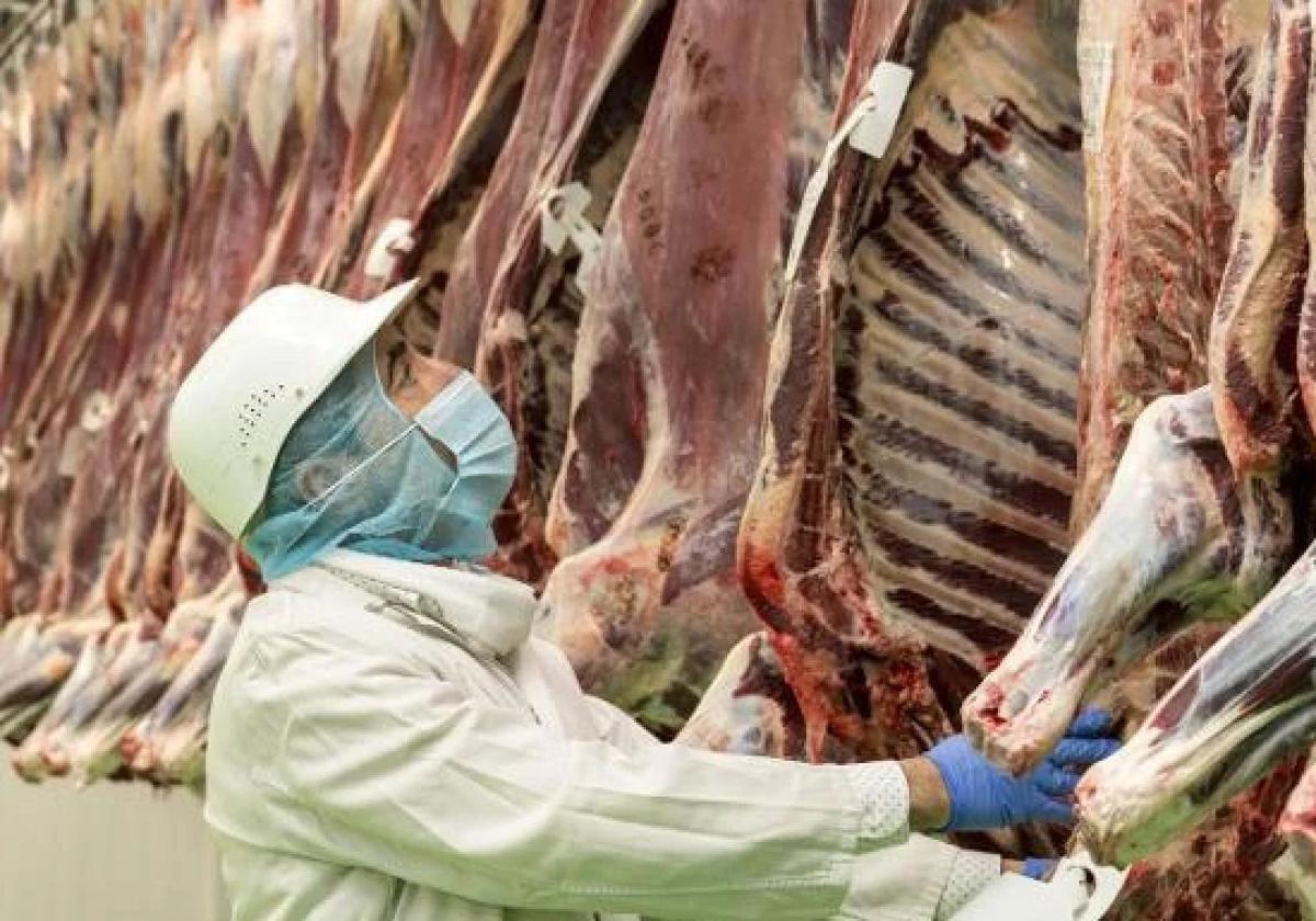 Los mataderos de León alcanzan la cifra récord de 31,3 millones de sacrificios
