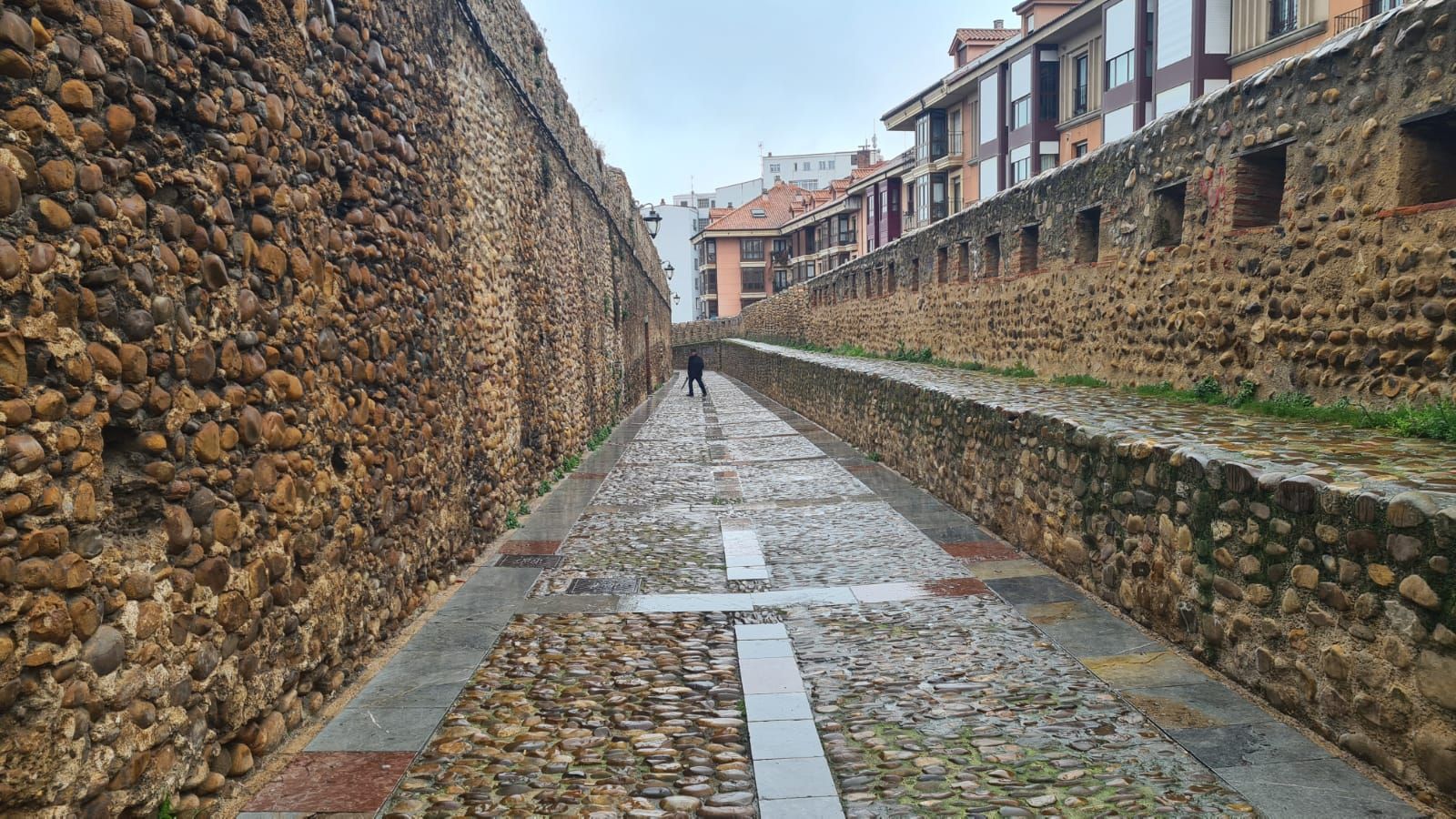 Así se encuentra el paseo de las Cercas de León