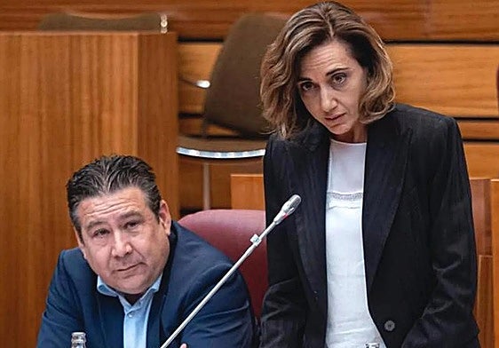Alicia Gallego interviene en las Cortes; al lado, Luis Mariano Santos.