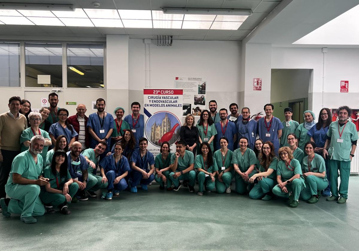 Residentes de hospitales españoles realizan en León un curso de Cirugía Vascular