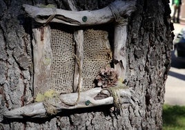 Un detalle de un árbol de la localidad.