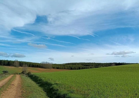 Suben las temperaturas en una jornada primaveral en León