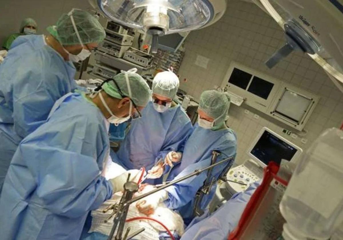 Seis personas donan su órganos en León en el primer trimestre de 2025
