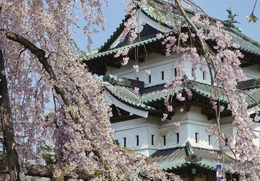 Japón ya es «destino estrella» entre los leoneses y Roma un imposible