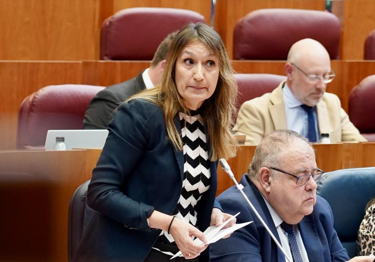El PSOE denuncia el «abandono» de los colegios de Valladolid y la Junta apunta al Ayuntamiento de León