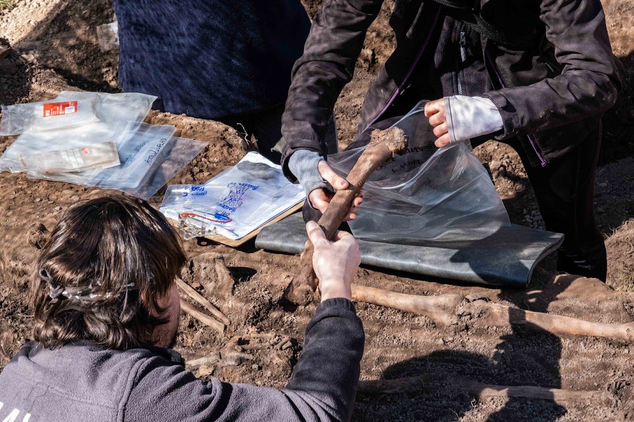 Exhumaciones de represaliados por el franquismo en la provincia de León