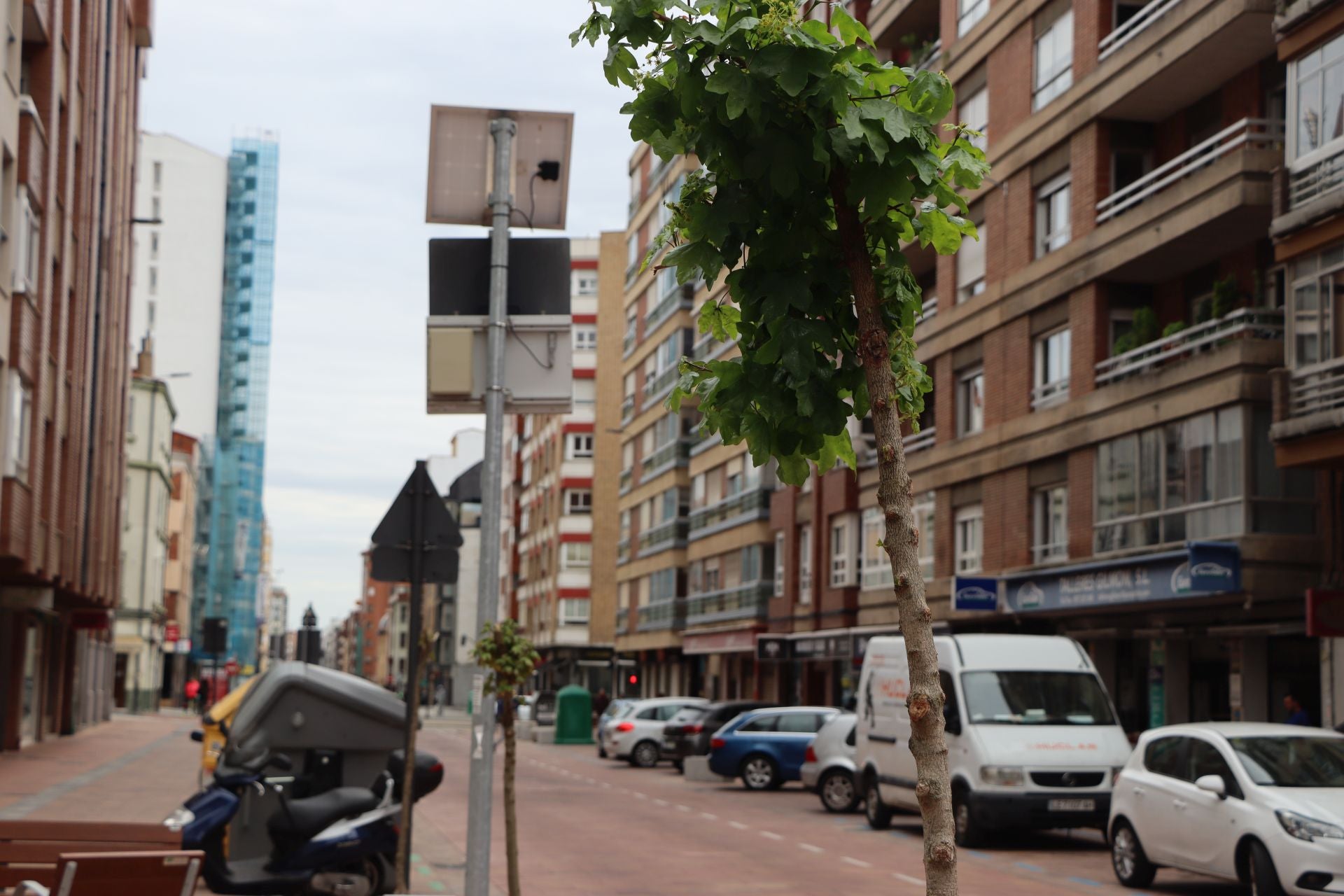 18 árboles destrozados en Padre Isla