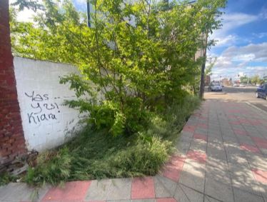 Las imágenes del abandono de Armunia