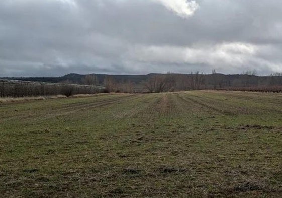 Imagen de archivo del campo en Léon.