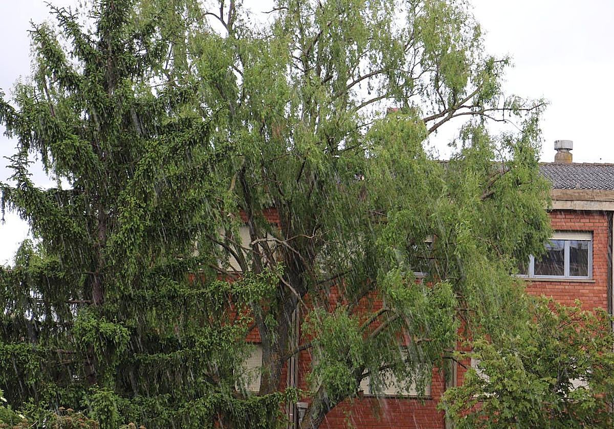 Imagen de archivo de una tormenta con granizo en León.