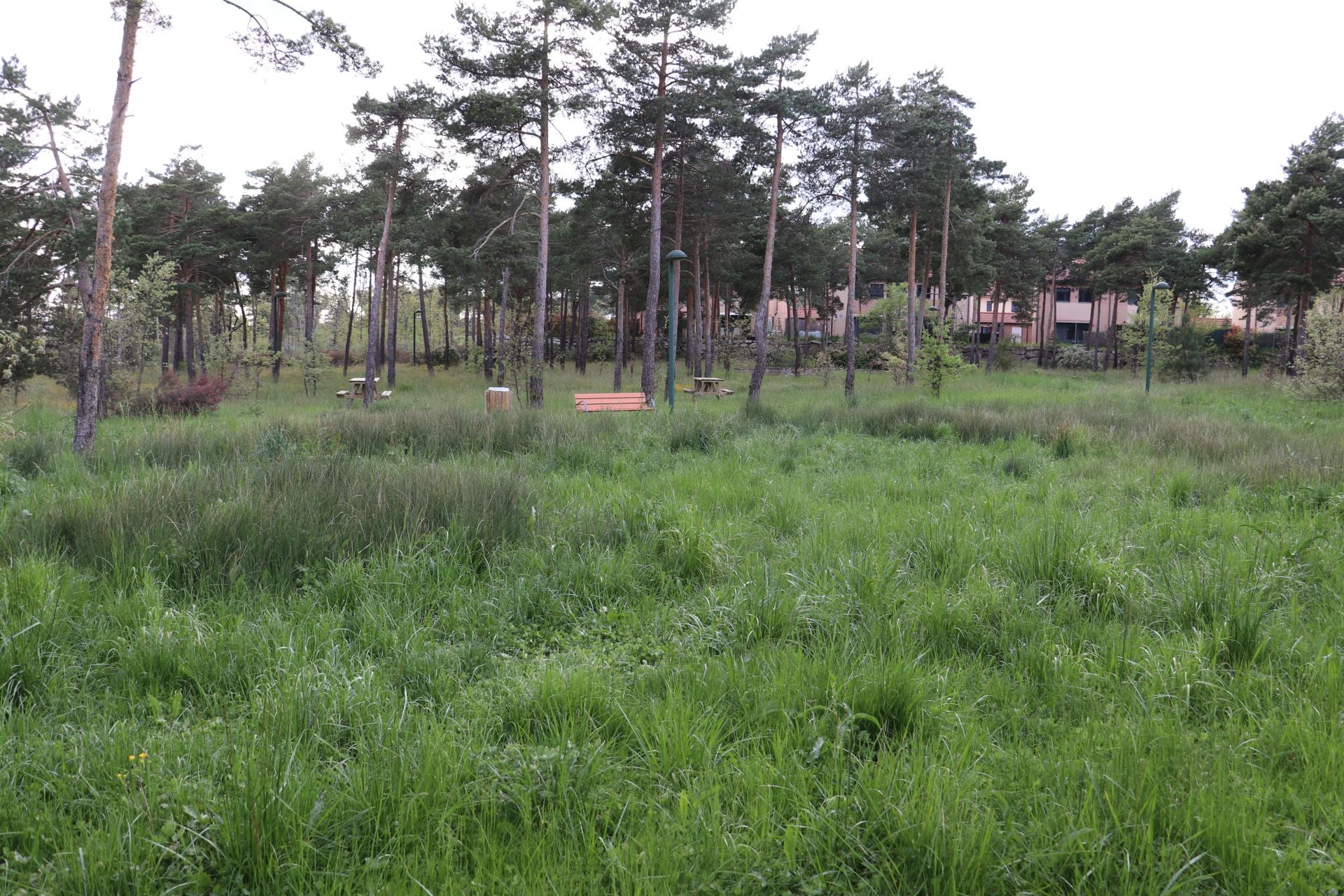 Imagen secundaria 2 - Estado de los parques, llenos de vegetación que impide el acceso a los niños.