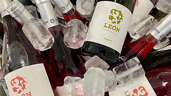 Doce bodegas de la DO León participan en la gran fiesta enogastronómica del año