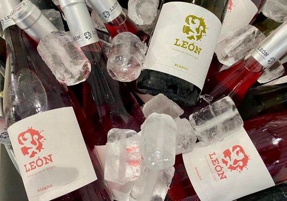 Doce bodegas de la DO León participan en la gran fiesta enogastronómica del año
