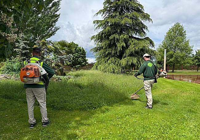 Inicio de las tareas de siega y desbroce en los parques.