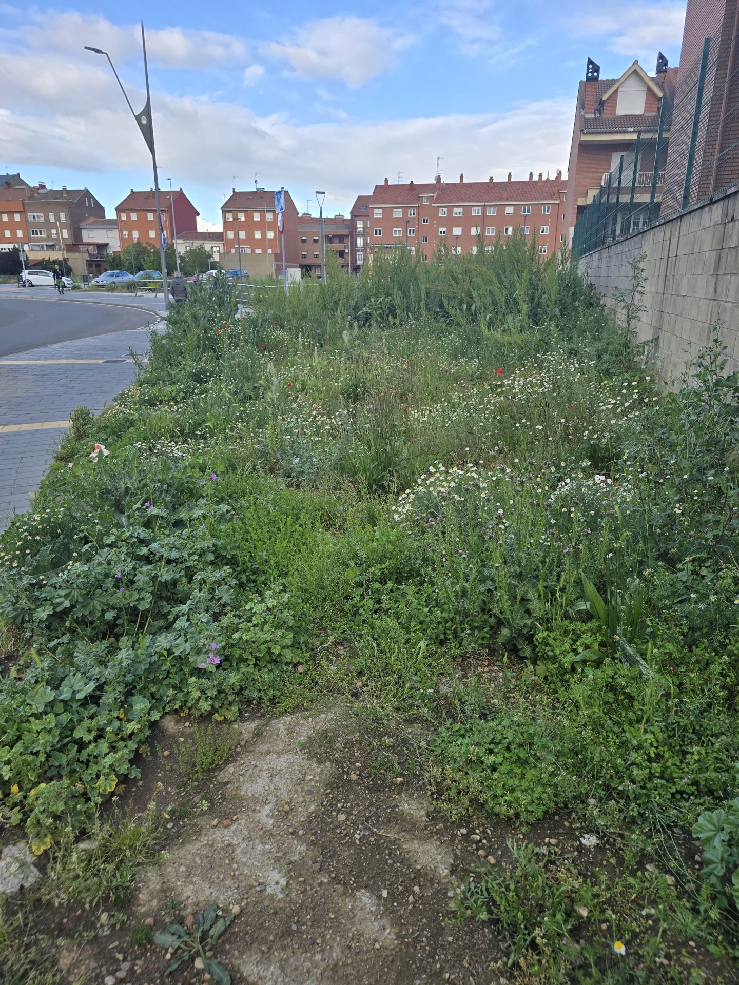 Nuevas quejas de vecinos de Trobajo del Camino