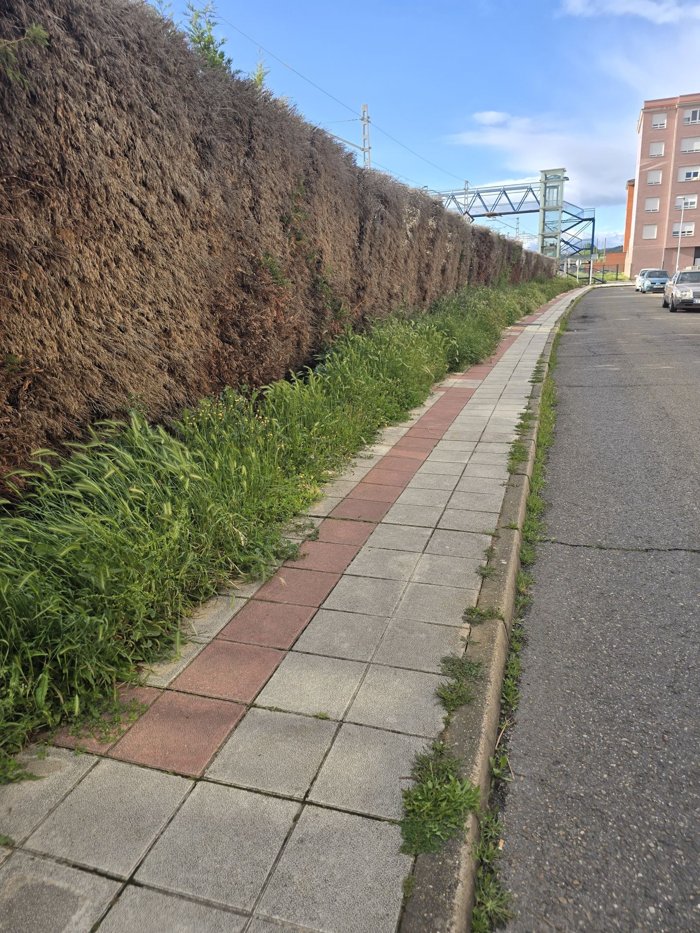 Nuevas quejas de vecinos de Trobajo del Camino