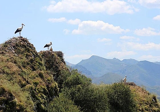 Imagen de archivo de un paraje de Babia.