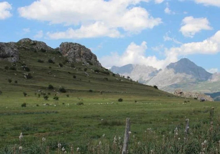 Imagen de archivo de pastos de la localidad de Cabrillanes.