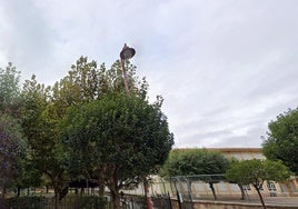 Zona de León donde ocurrieron los hechos.