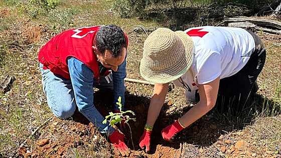 'Replanta Pachamama' restaura 19 hectáreas de terreno en un pueblo de León
