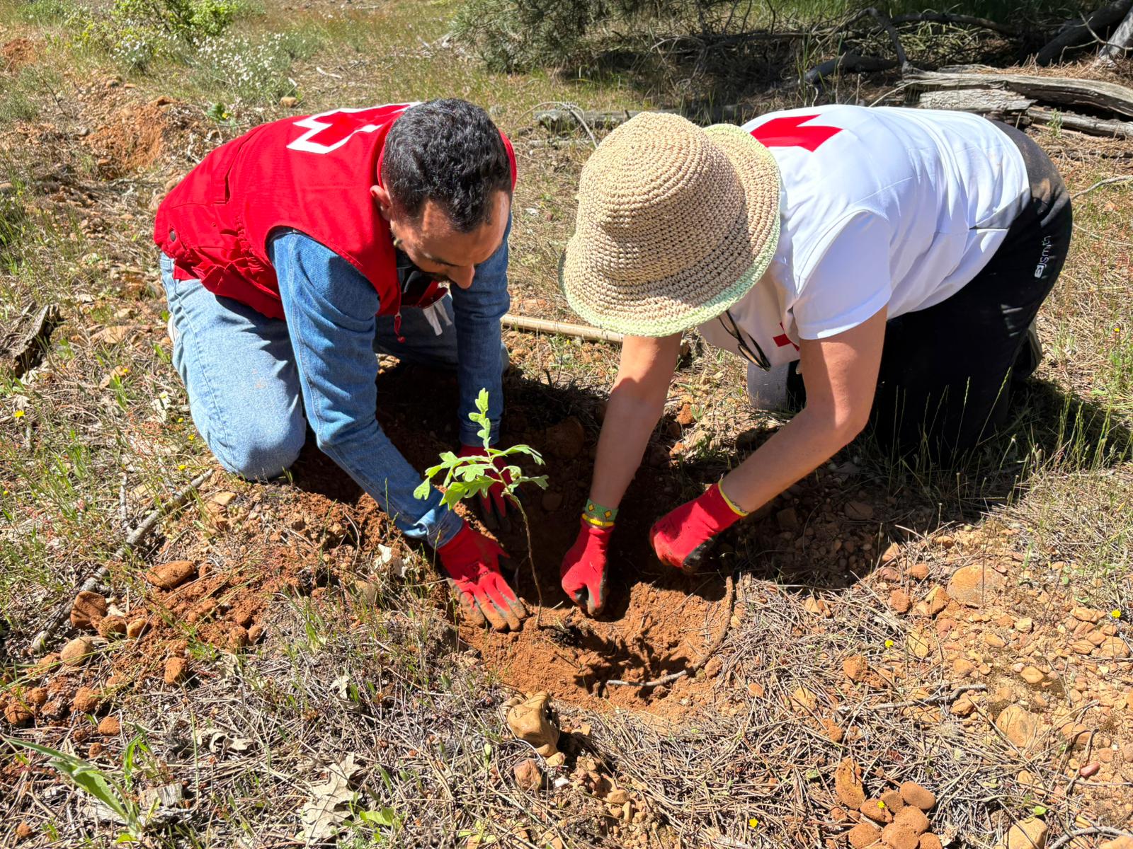 Plantación de un árbol durante 'Replanta Machamama'.