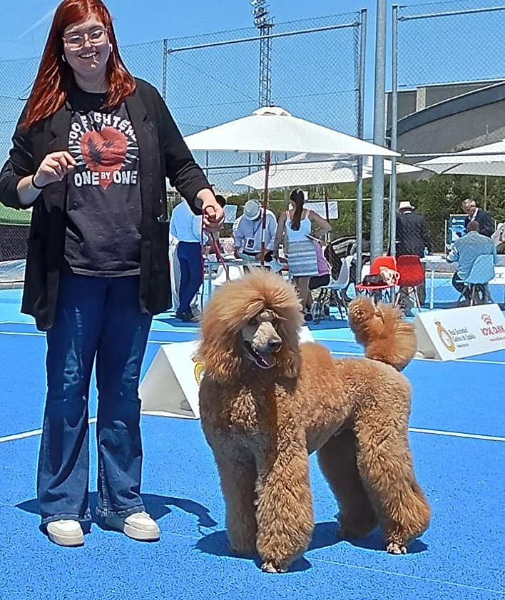 Imagen secundaria 2 - Alfred, un perro con estrella.