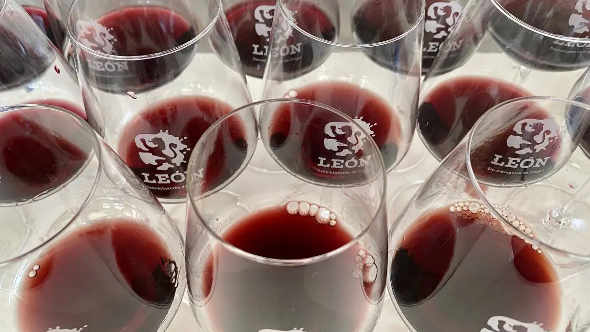 Los vinos tintos y rosados de Prieto Picudo han obtenido la calificación de «excelente»