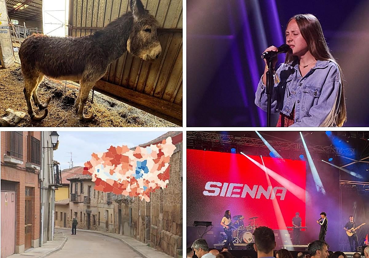 Las imágenes del día.