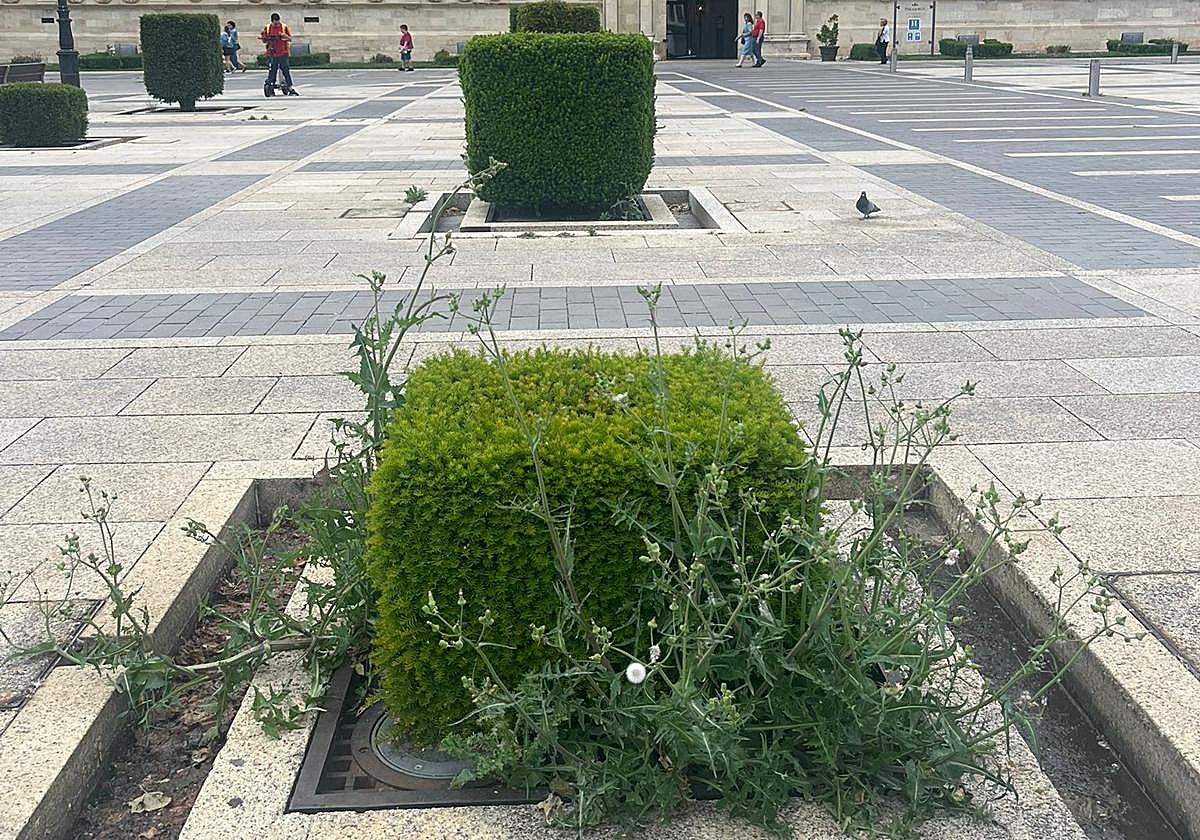 Situación en San Marcos.