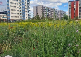 Barrio de La Lastra.
