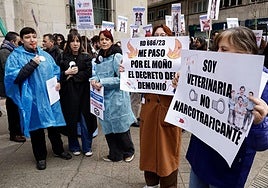 Una de las concentraciones de veterinarios en León contra el Real Decreto.