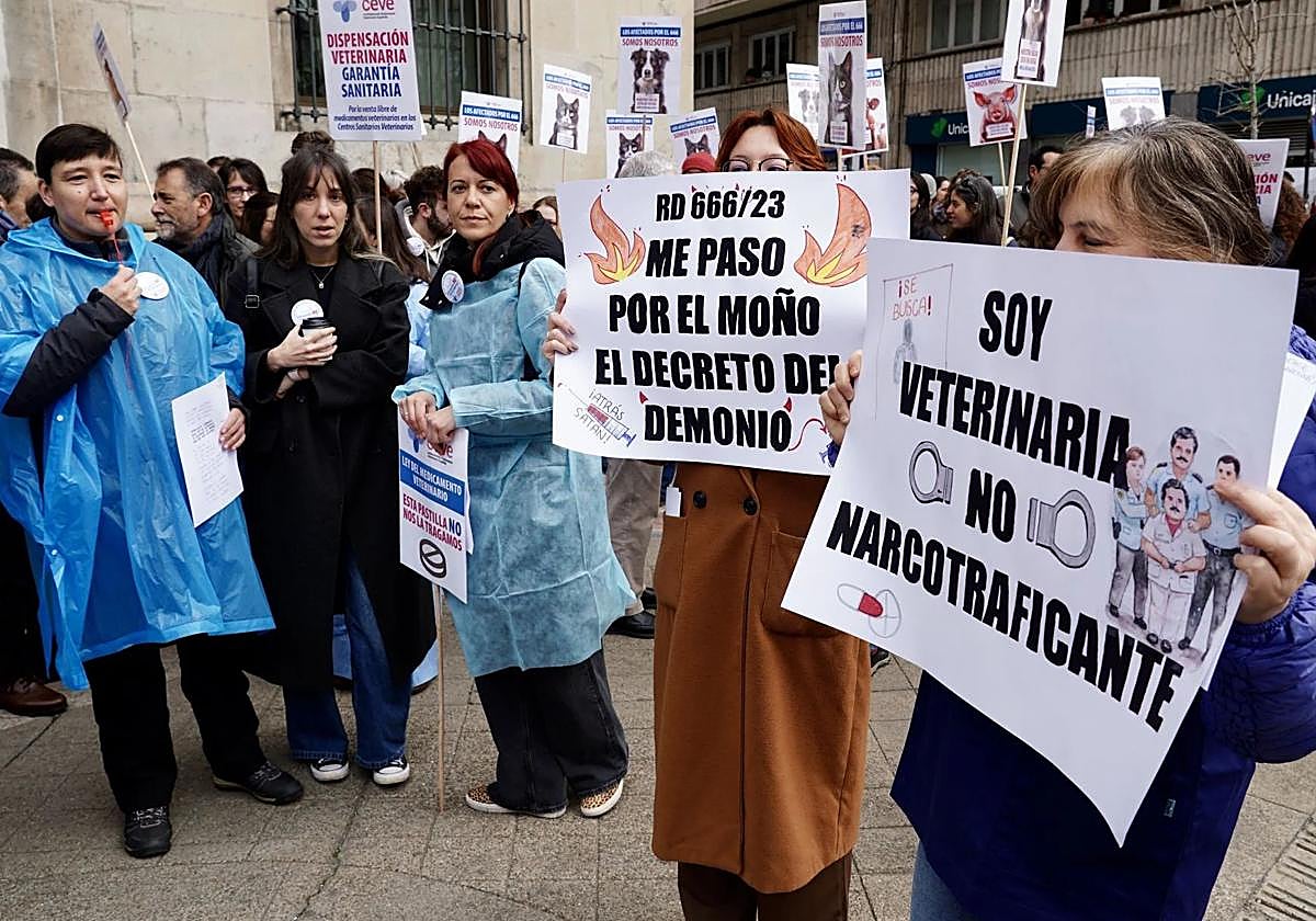 Una de las concentraciones de veterinarios en León contra el Real Decreto.
