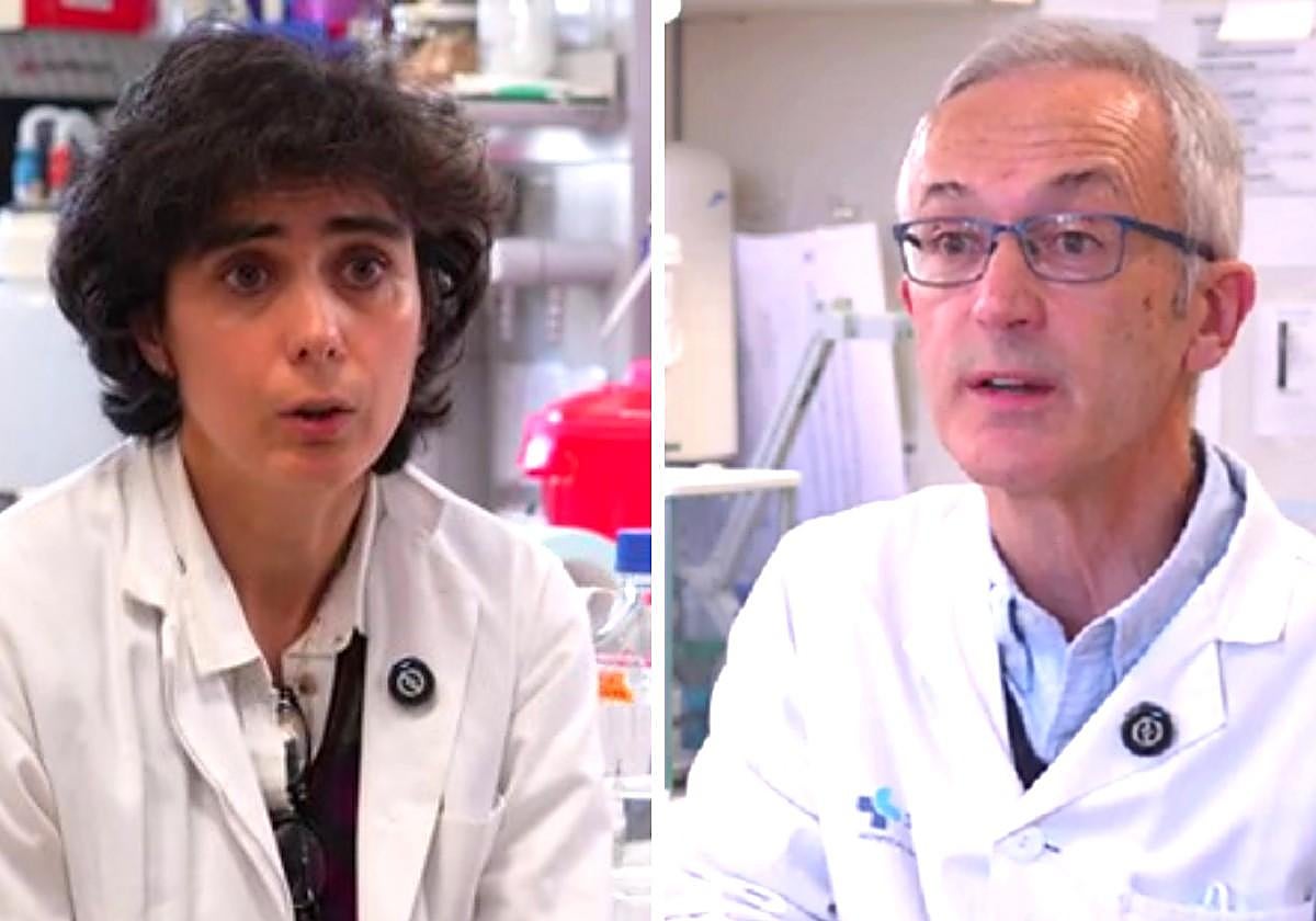 Investigadores de León desarrollan una innovadora estrategia de inmunoterapia contra el melanoma